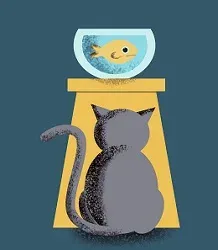 potrebnosti cat